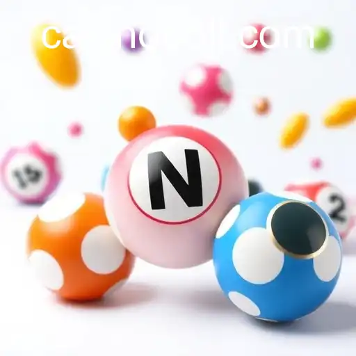 Exploring the Dynamics of Bingo Games